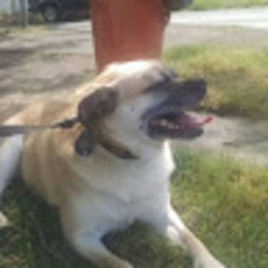 Meet your Posher, Ritah